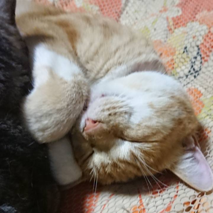 0978c67e ab21 4ef9 8a1e eb7ddac86a7c 1577273550723