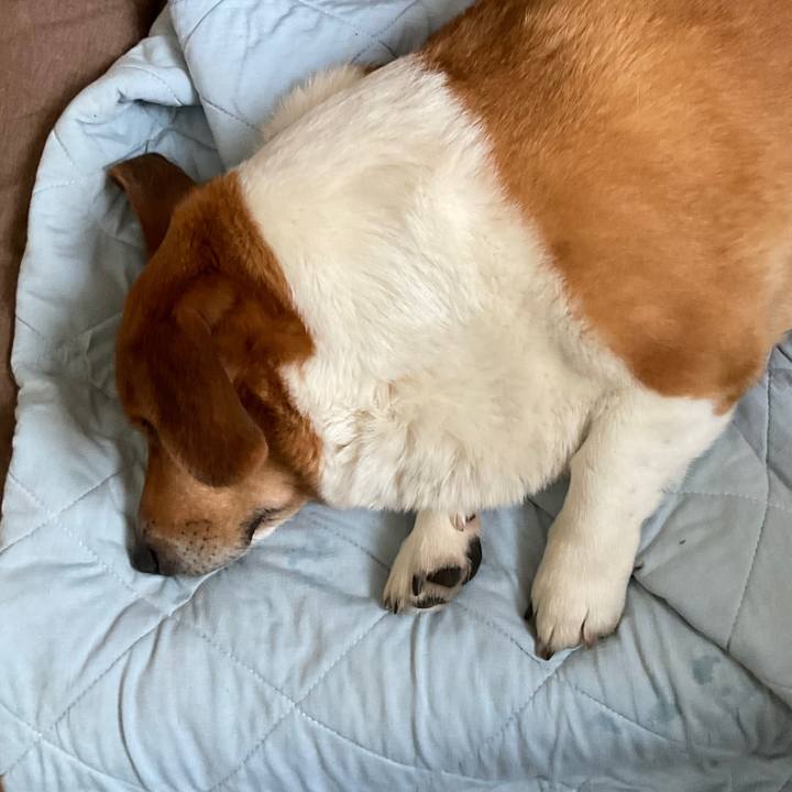 0978efdb 011c 4d26 95ee 61479594042a 1748390557742