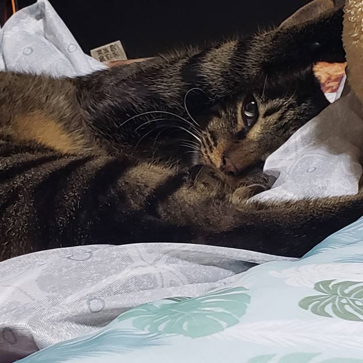 0978f3d7 068b 48db a51e f7a24de79505 1557687926422