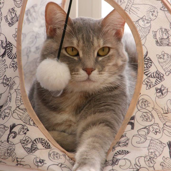 0978fd9f 166d 43d1 a4b5 1785841ebc00 1526605768401