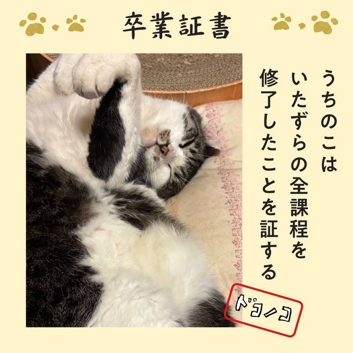 09791809 005e 40d1 a05a 98f45dfb392d 1771924866395