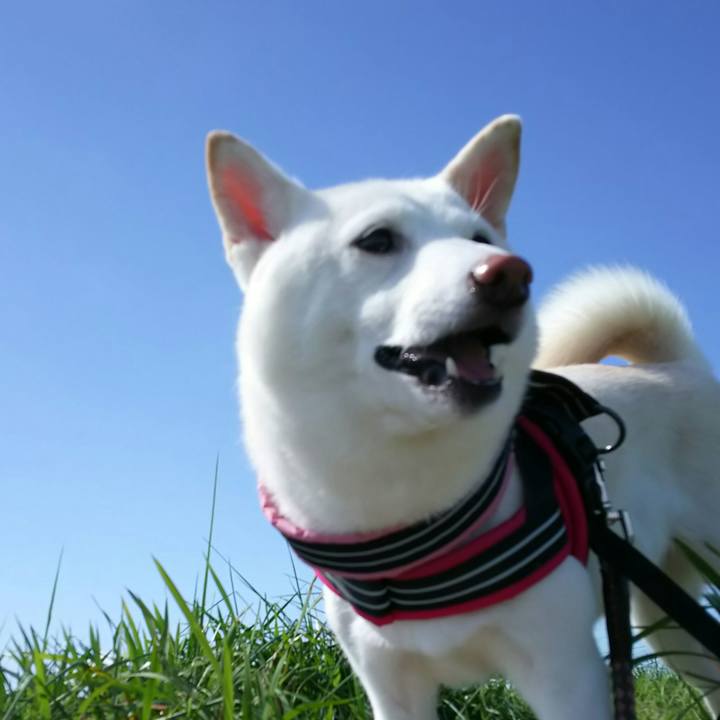 09791d7a 8434 4127 813a 311ba97e2302 1538101377104