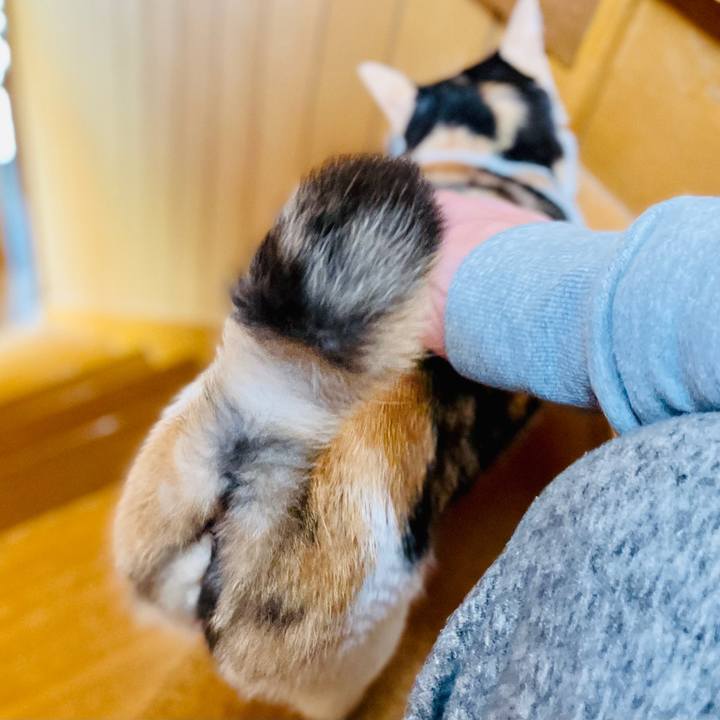 09794dcd c440 413e 8d71 061efa5247f6 1608776341895