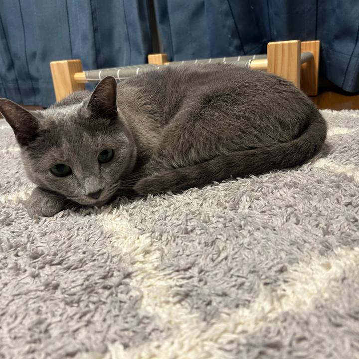 09795d1a 1a72 4999 9d84 8153c15c6841 1712875272309