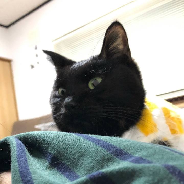 09796b20 6995 40fe a143 2fa0b9c308f3 1621865898998