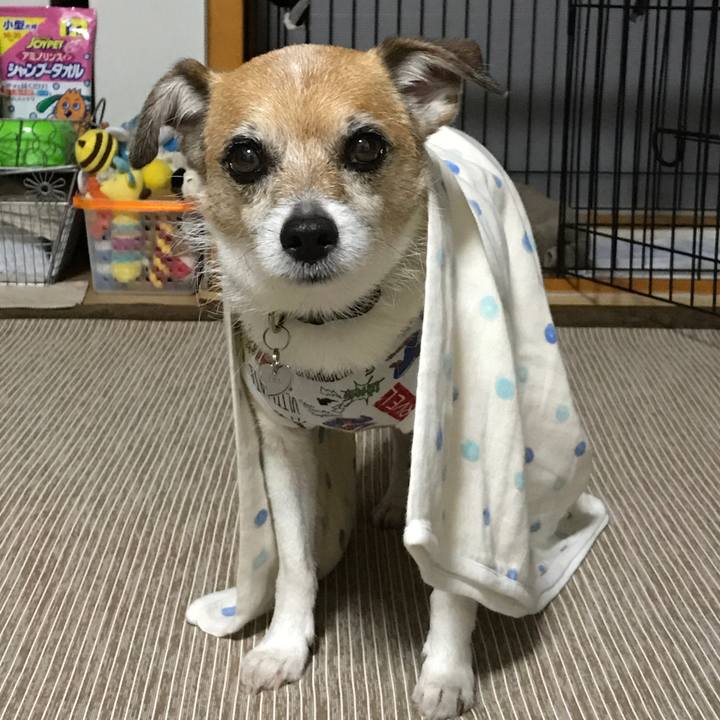 09797f1b ac67 4fad a839 f491bd13a83f 1594209603781