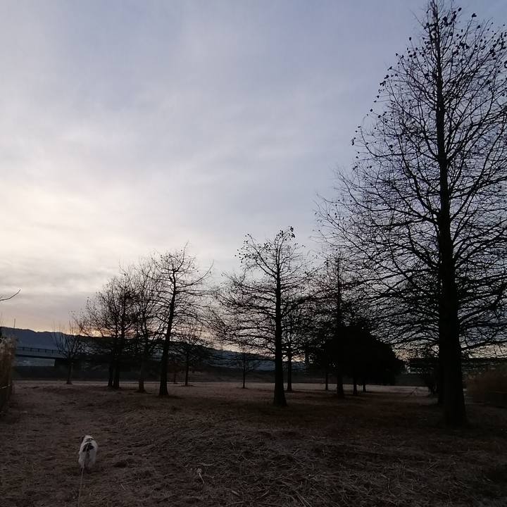 0979ab28 d26a 4ed2 a836 c16100e36670 1578832355180