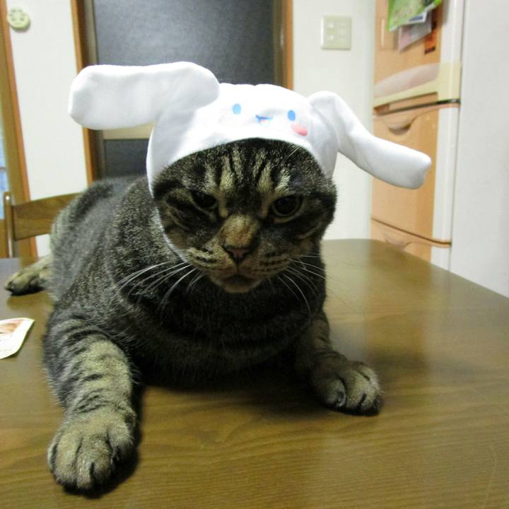 0979bc45 a014 4861 9f01 e70235dfe446 1509626858132