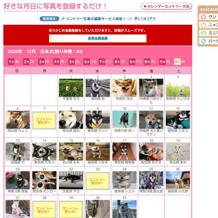 0979c588 9dab 41d8 b5d2 f7851c65decf 1560907694703