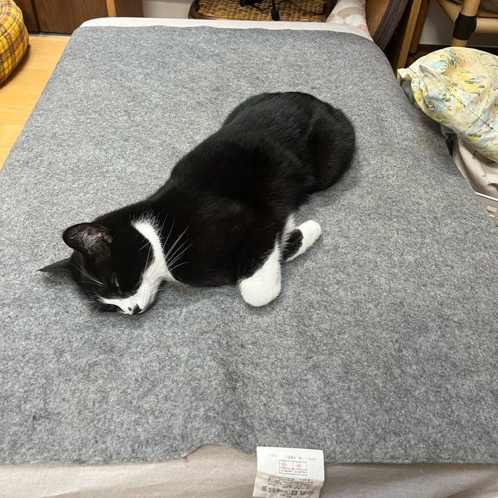 097a1354 5225 44d3 95f1 7d8fc3b677d0 1706141406458