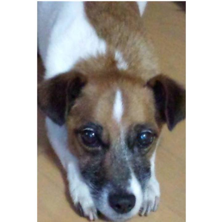 097a342e f56b 4f8a b1f2 a4c8efd56b3a 1525575097180