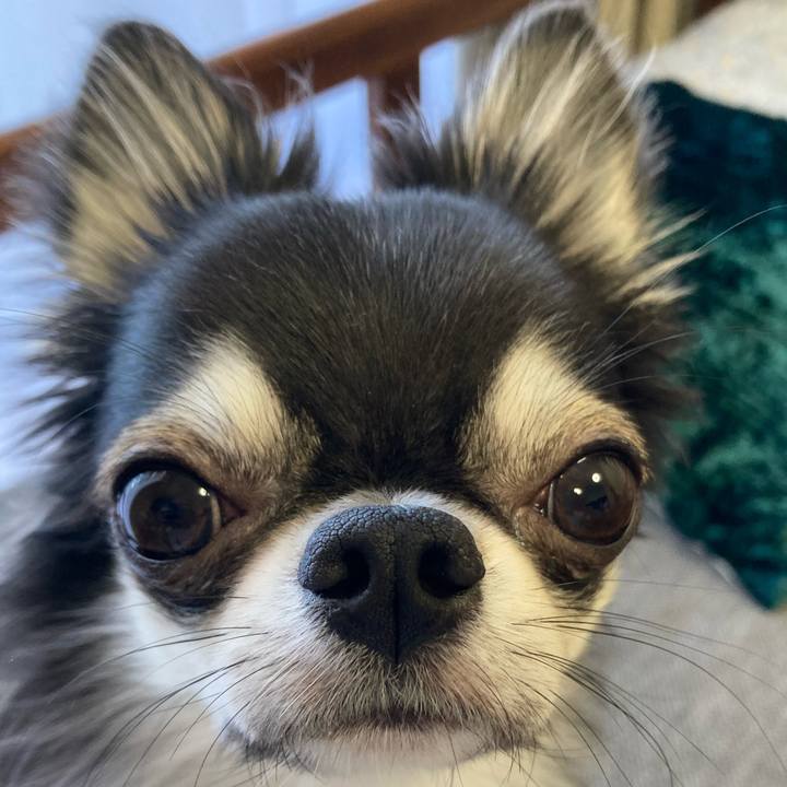 097a380b c498 4b76 9c0b 44f063331f1d 1635031053848