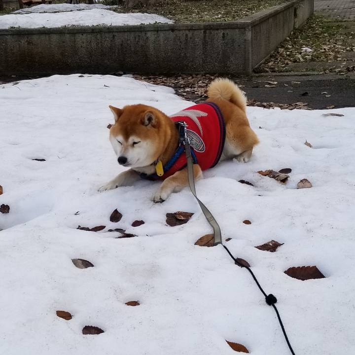 097a3b25 9e42 4f5e 851c 032577b5a7b5 1552445662378