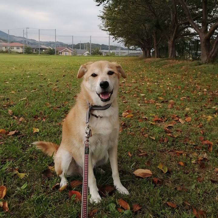 097a599f 6623 41e5 beea ecad8a2b475f 1569838251685