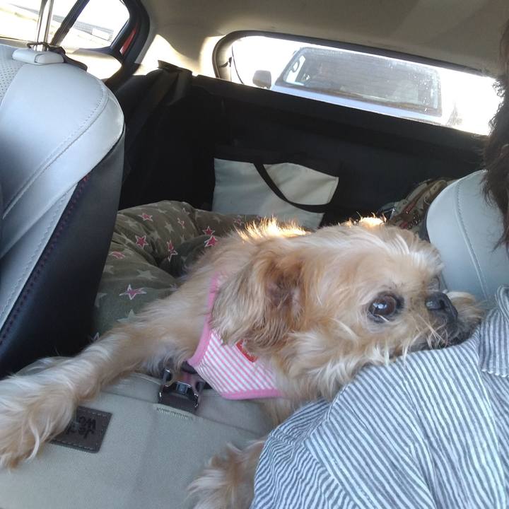 097a5b2f 79f6 4ba8 b127 c271cfd84f06 1598688183745