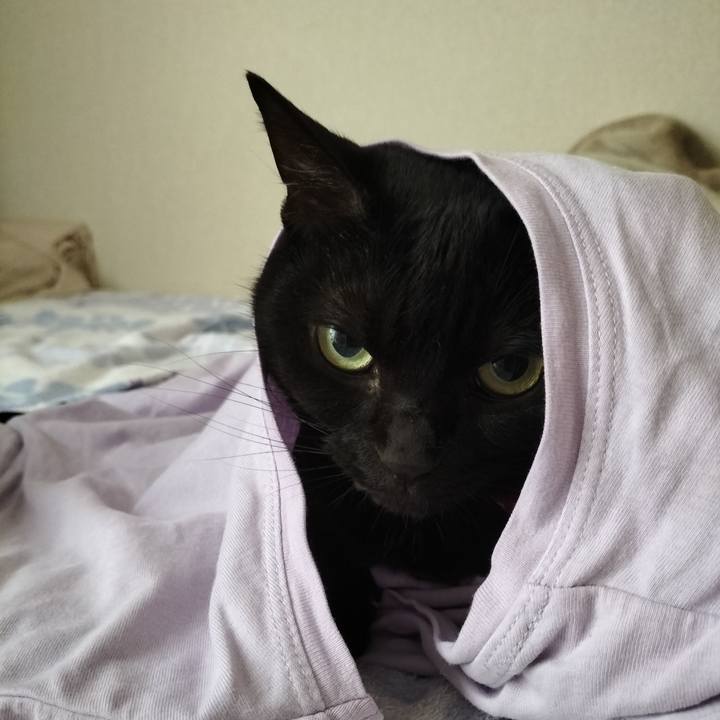 097a5b4e 3faa 4f0d 9ad7 d8228b6dd70a 1655245392515