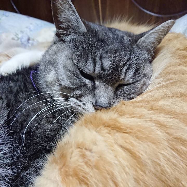 097a74e8 65c8 4964 a6a5 97583df7765b 1582027906971