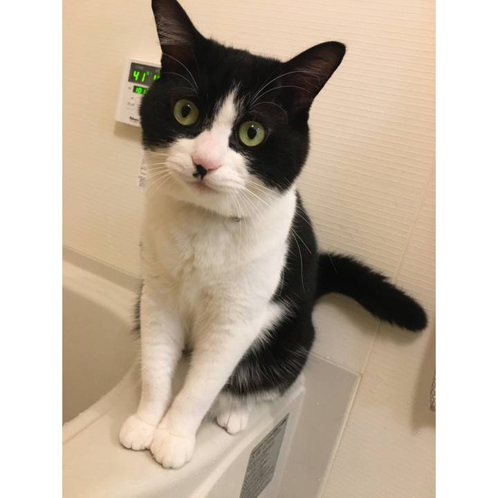 097a95ec 9bad 40e5 b549 62e6b0e13950 1576591991167