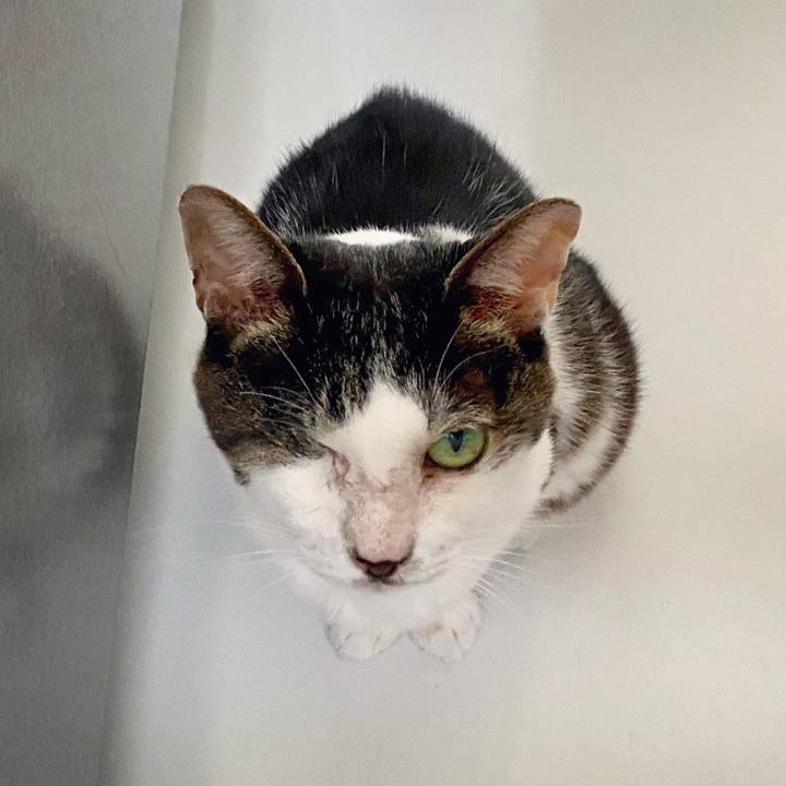 097b010f 8674 40b4 96ef 56270378433b 1597467256285