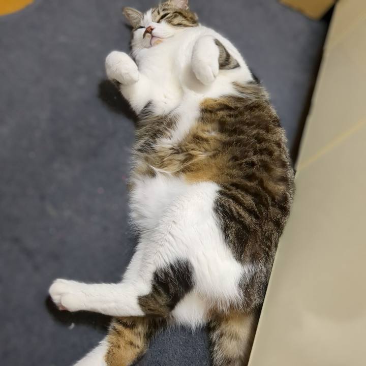 097b03b7 b7ad 4764 9f80 7a2a0ecdf9a0 1667820391838