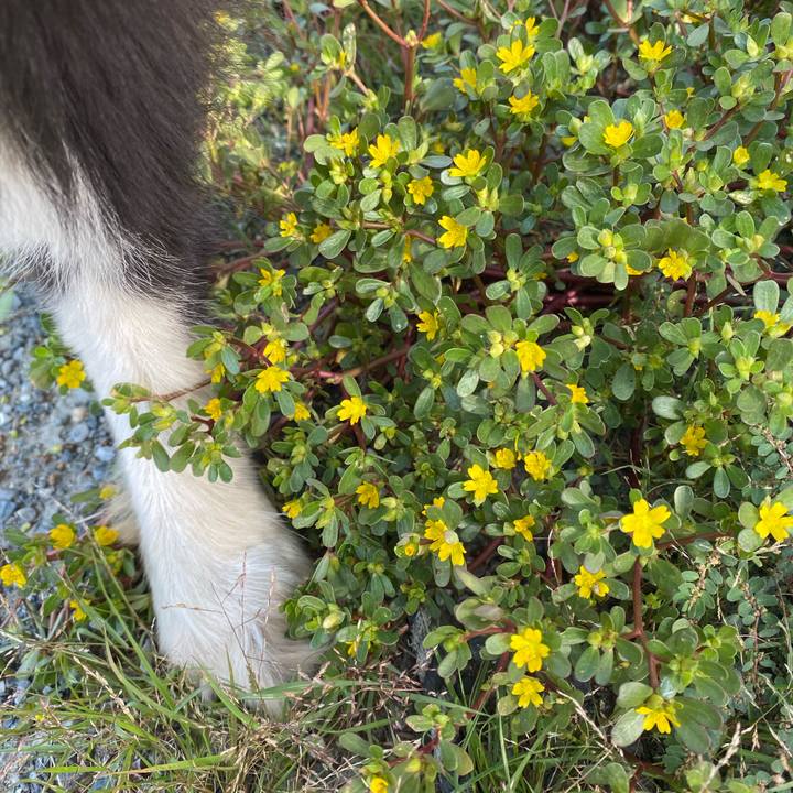 097b0dd5 a70e 4d73 9a78 2efbbcfed0c9 1694320565264