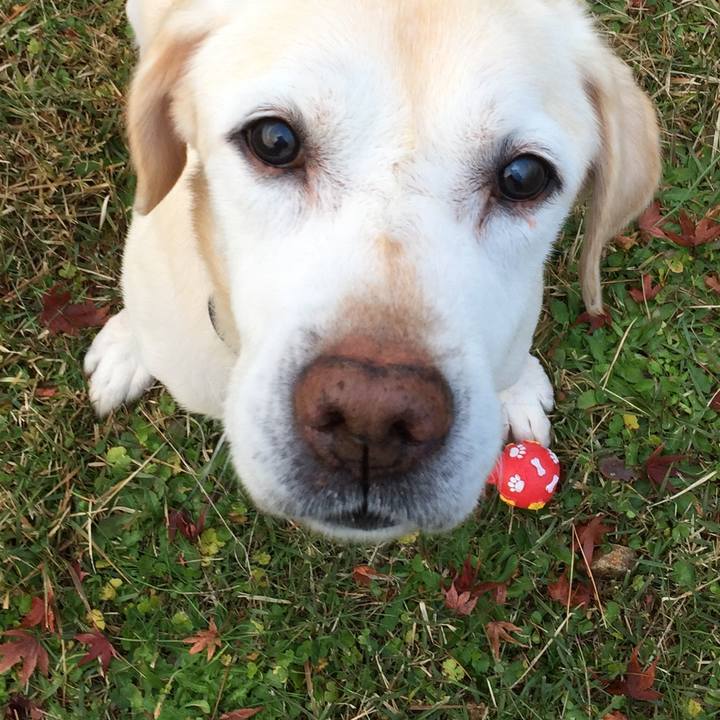 097b1342 dad6 4d78 bb13 f2da81773a4d 1556874181218