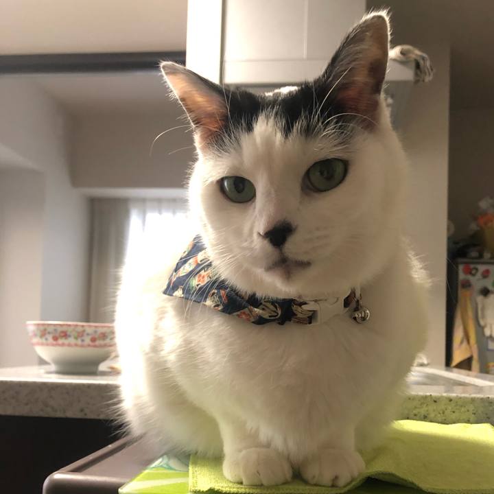 097b19dc 762d 4857 adec d2e9fd60d461 1578439882450