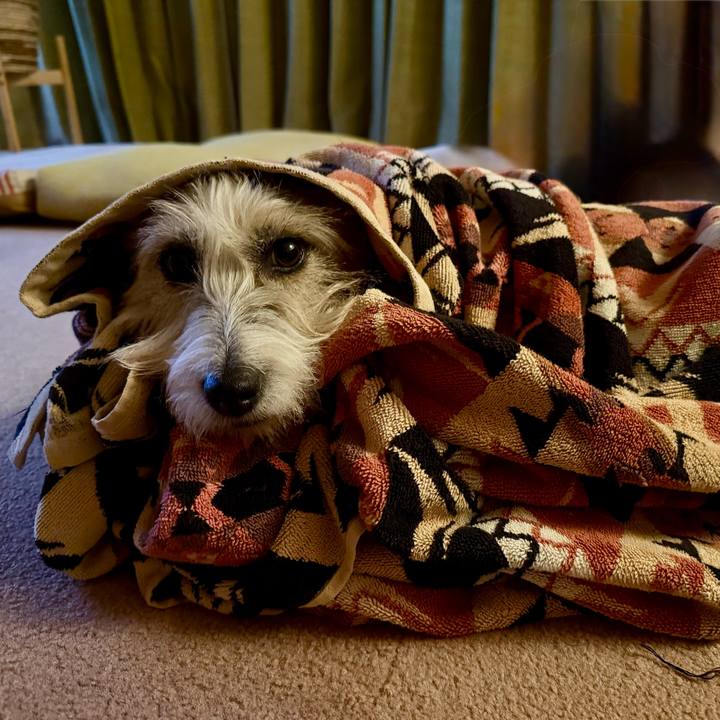 097b20bc 552f 40b9 a663 872698444992 1764879784198