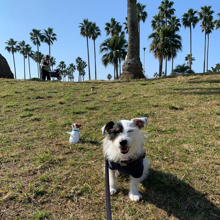 097b3244 a8b6 482e 8e4c a90301e9f4e8 1668216088447