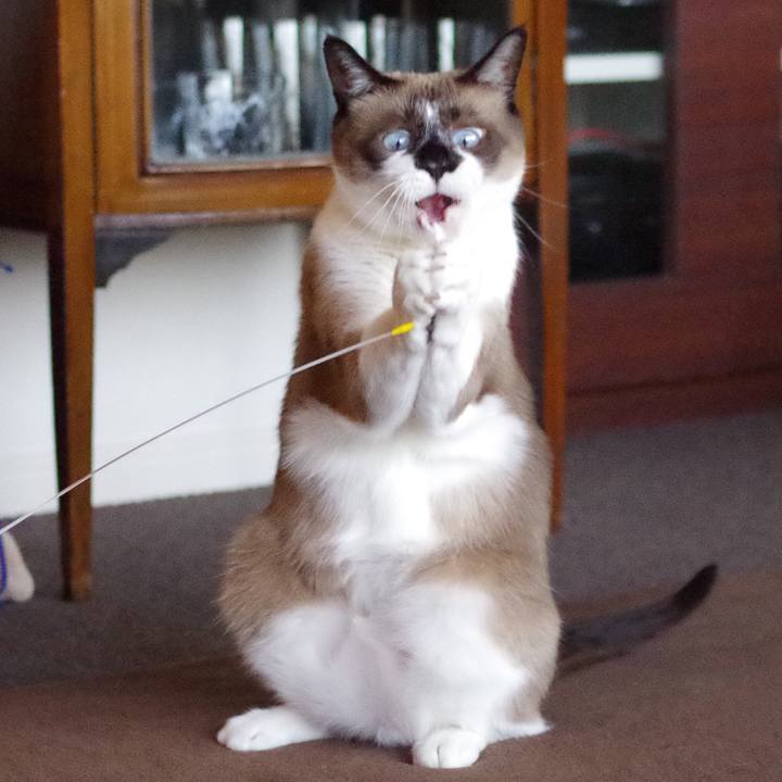 097b895d 67da 4e3a 9088 22f35c9f227b 1519697551220