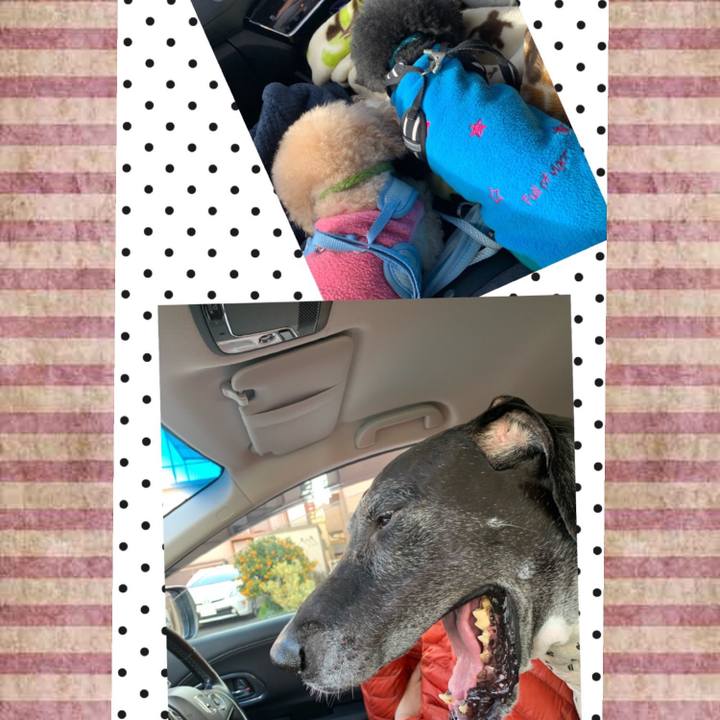 097b9729 65c5 4cb7 a4ab 640e79816100 1577757049714