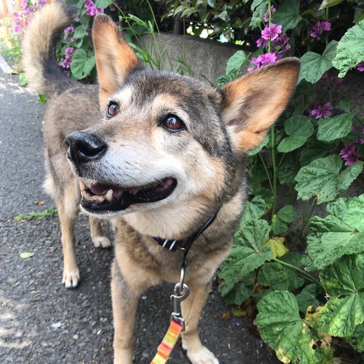 097b9e86 6523 48e6 a904 a08a044cdb49 1558568006775