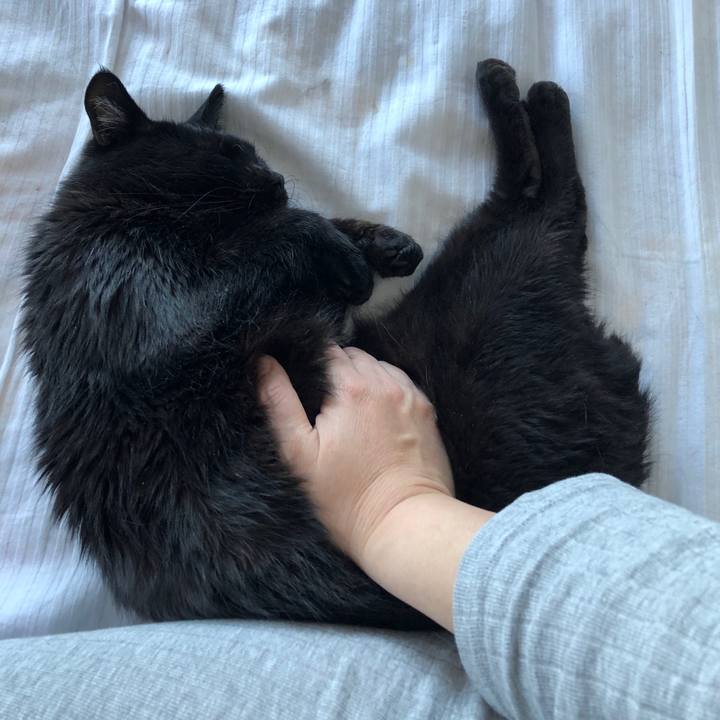 097bc65c b3d3 4189 ab99 9fd1e0210a4d 1584245586596