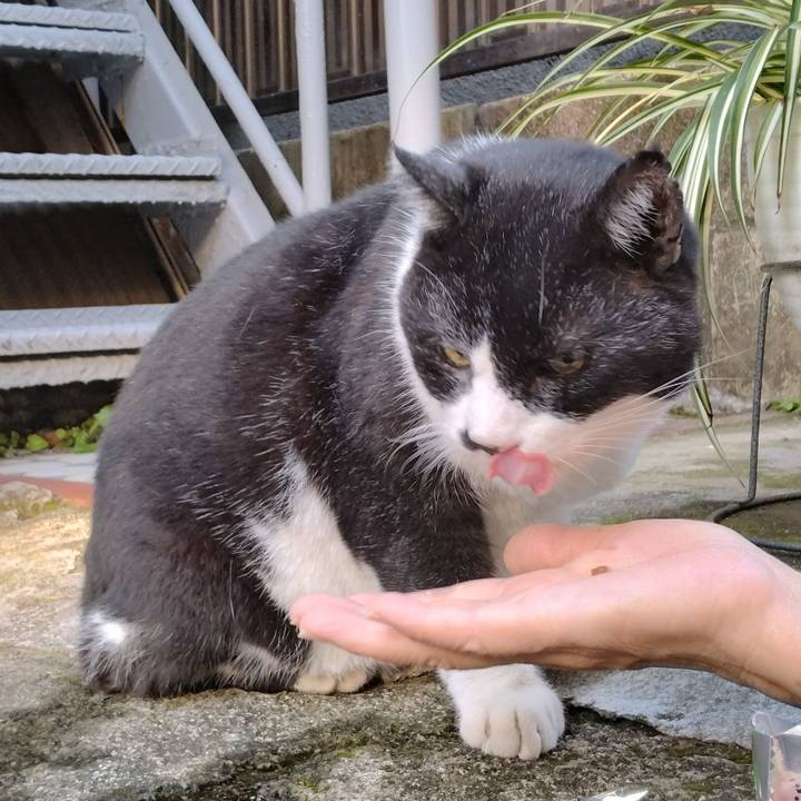 097c0291 890a 47b3 a747 8ab9e40c165f 1698967882634