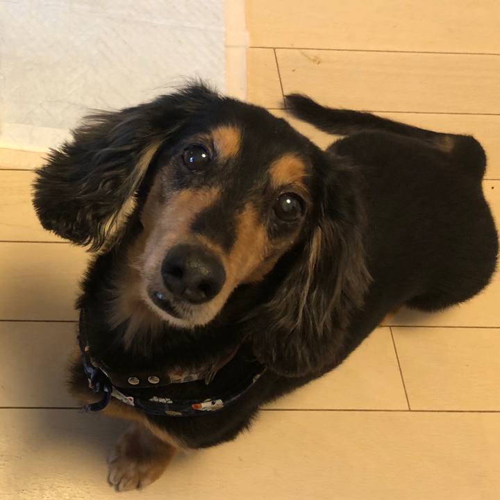 097c0834 bd5e 4da0 a37f c30c09258f3a 1568987243208