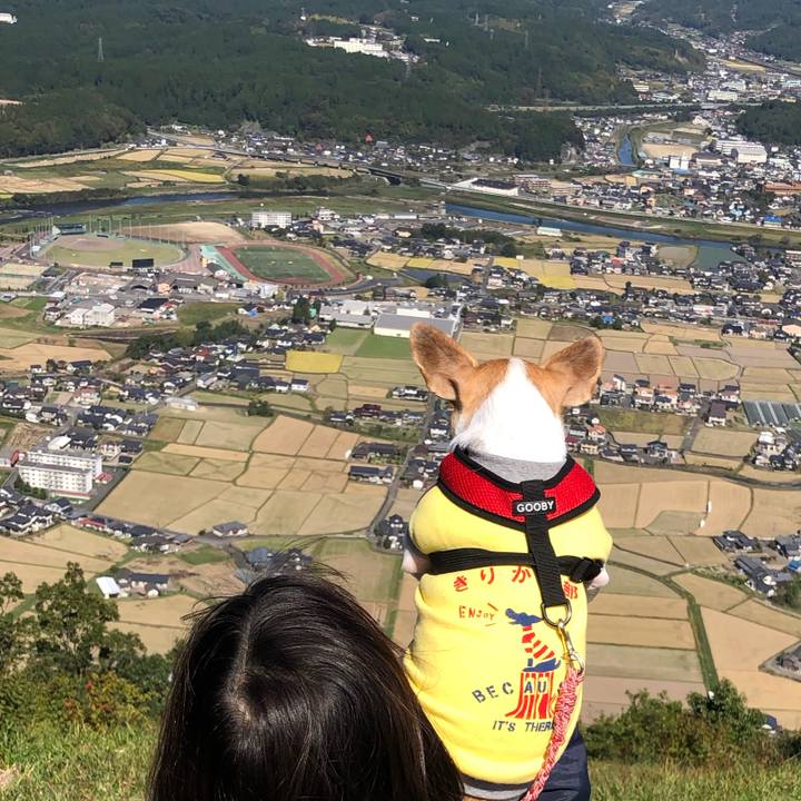 097c4eca 8355 43a7 bb72 ea5752f9abcb 1571065889711