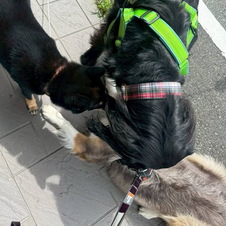 097c5881 8477 468e b6b2 596ed2adfd2d 1755776759379