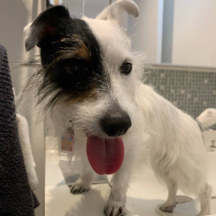 097c6251 2569 43b4 afec af0636000ff9 1656544967375