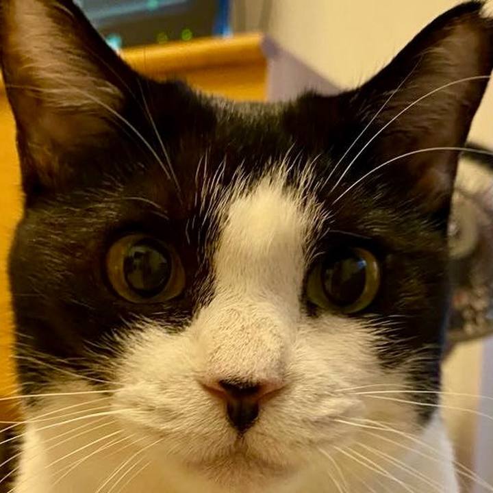 097c7f52 8b7f 430a 938d aa5fdd41e979 1729942723070