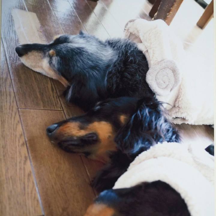 097c88ad 6a28 41aa ae69 0a184e1cf4ea 1508838622806