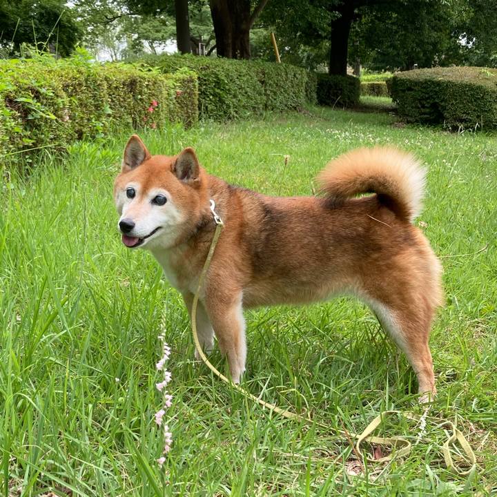 097ca6f4 a83c 414c 90c6 889d47df98aa 1687230213276