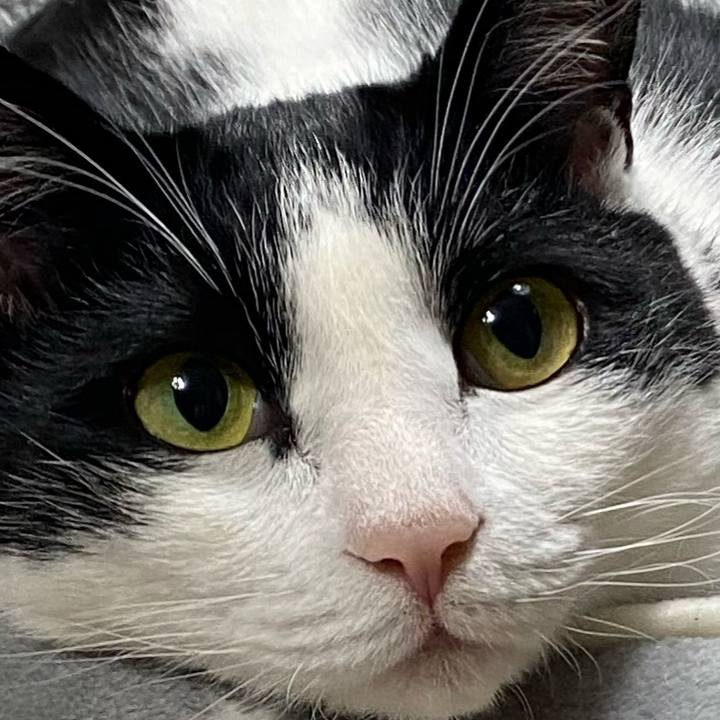 097cbd8a b676 4b44 afd8 8fcc55a483b5 1613308196550