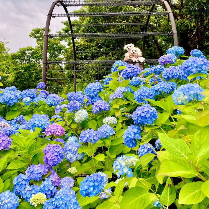 097d46b7 5e27 48ad 8d7c d282ede48104 1622021970503