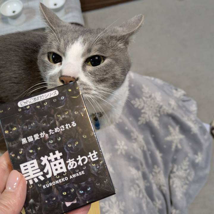 097d6f6f ae36 4c54 a1b0 1175cb14fddc 1765184142473