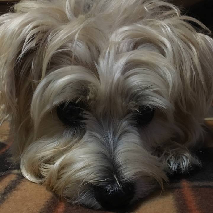 097d9100 6ccc 4e79 bf1d cbe64191a359 1612647045401