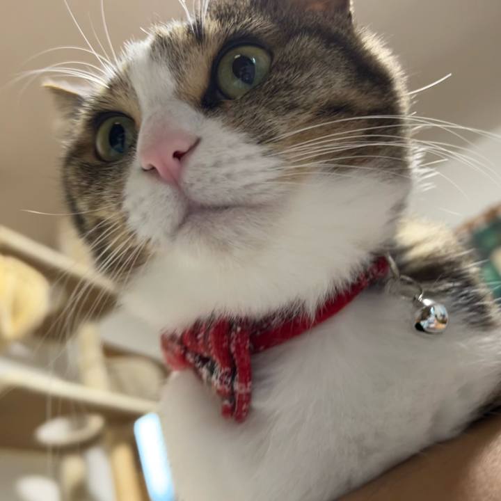 097df190 15ea 4ea8 99a9 414907851876 1733497847195