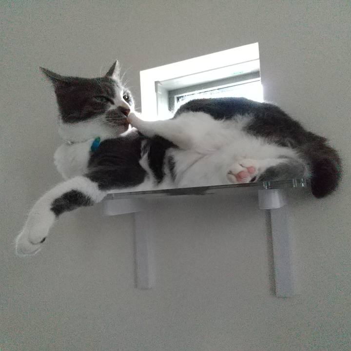 097df69f fb18 48b8 8791 9f9fbf23541b 1625907247818