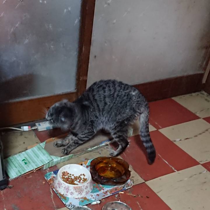 097e6b85 8f46 45e4 87c3 f381b6a70b4b 1579993323377