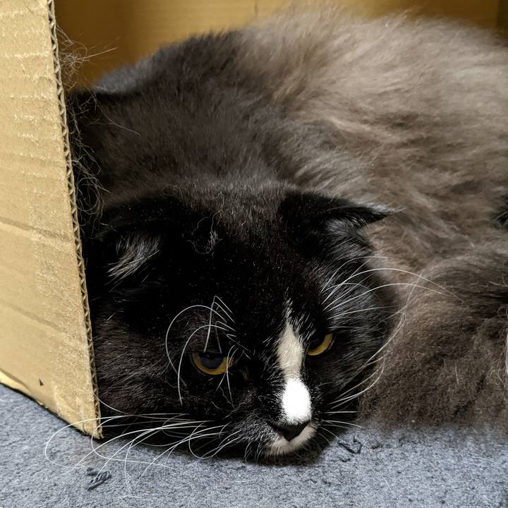 097e8dd0 943a 42d1 aec5 714b8a908feb 1667651123324