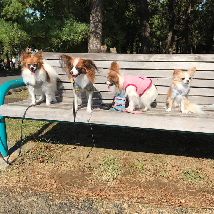 097ec4d9 80a7 4dce 8a70 d6a47b79d595 1509691529025